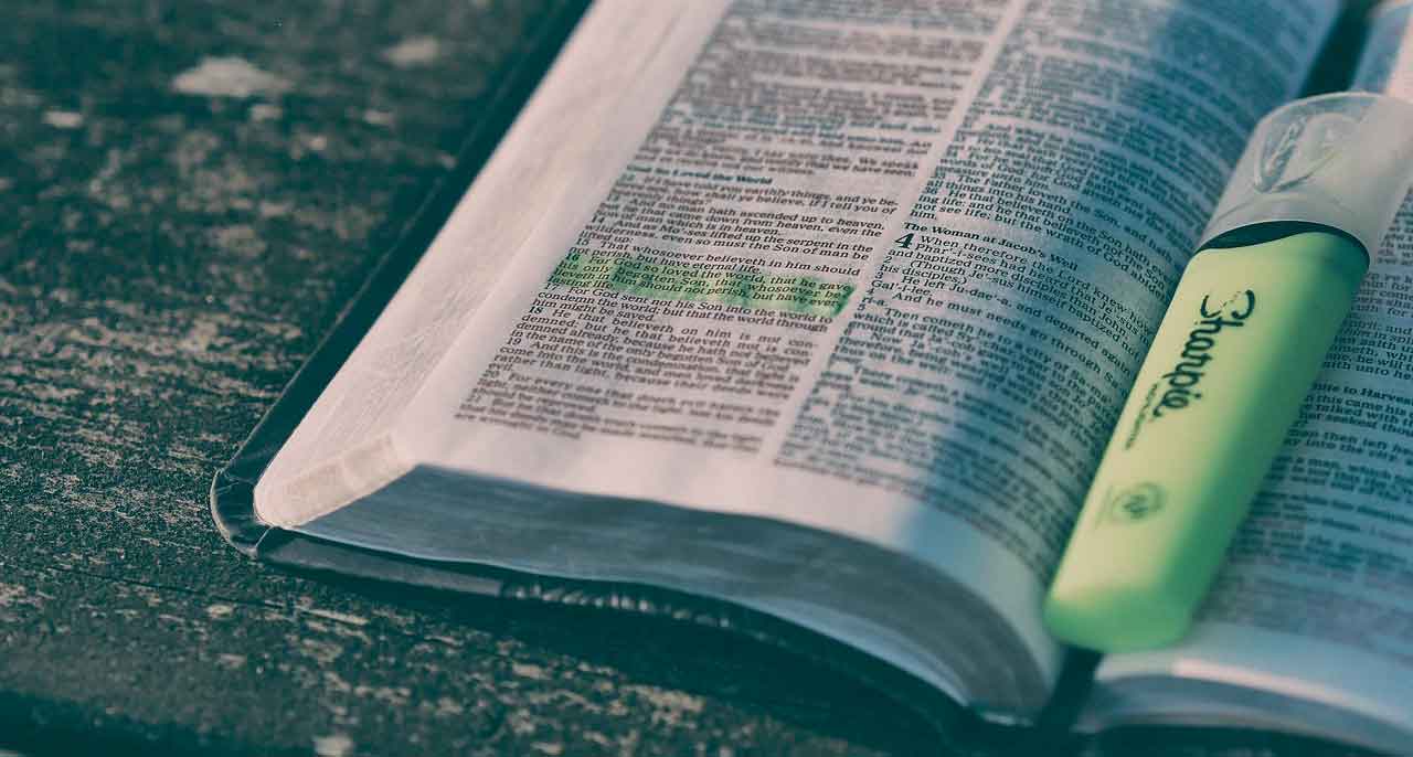 comment developper son entreprise avec la lecture