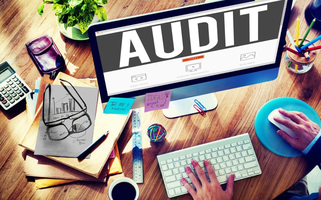 Diagnostic web, SEO et marketing : croissance & développement d’entreprise